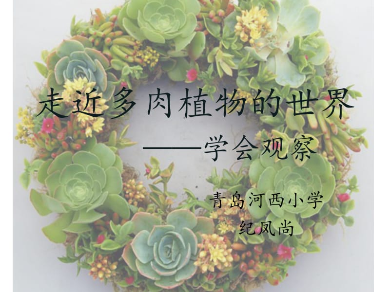 走近多肉植物的世界学会观察.ppt_第2页