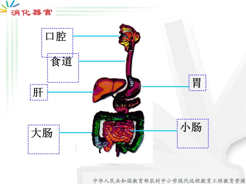 要求ppt课件.ppt_第2页