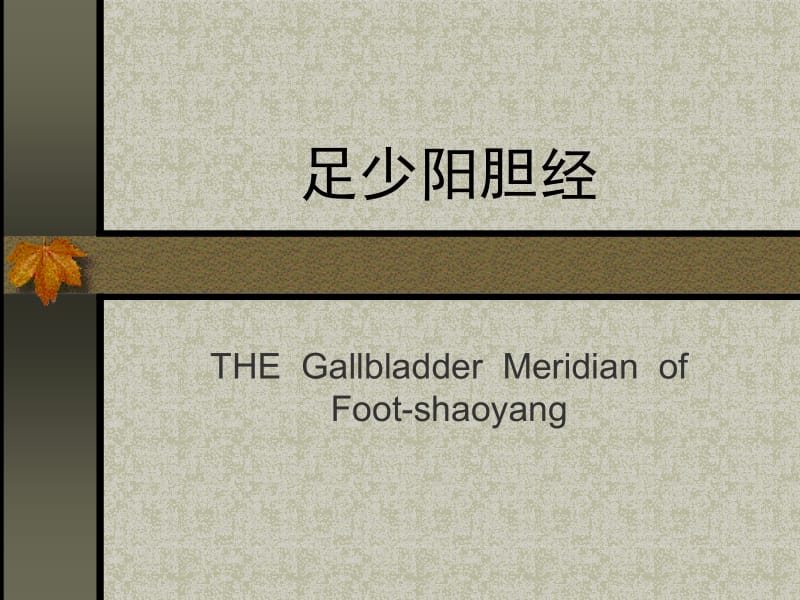 足少阳胆经THEGallbladderMeridianofFootshaoyangppt课件.ppt_第1页