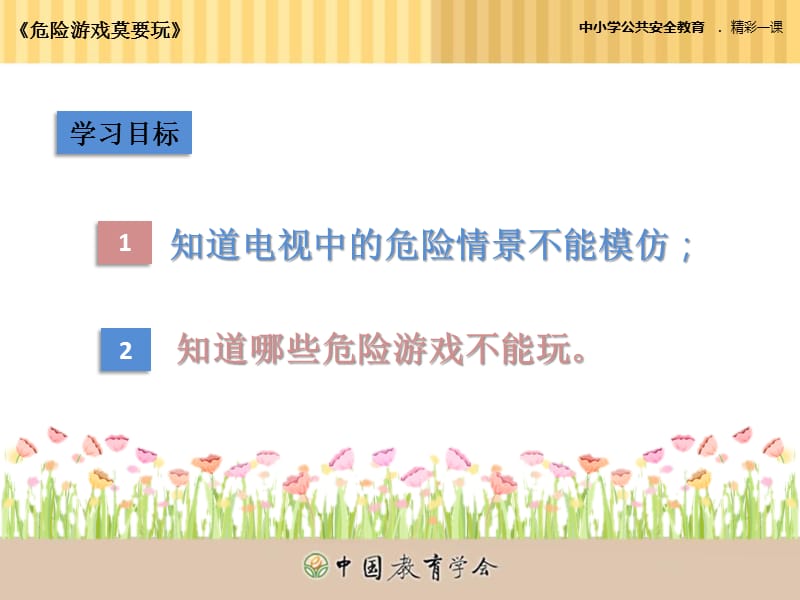 中小学生安全教育培训课件.ppt_第2页