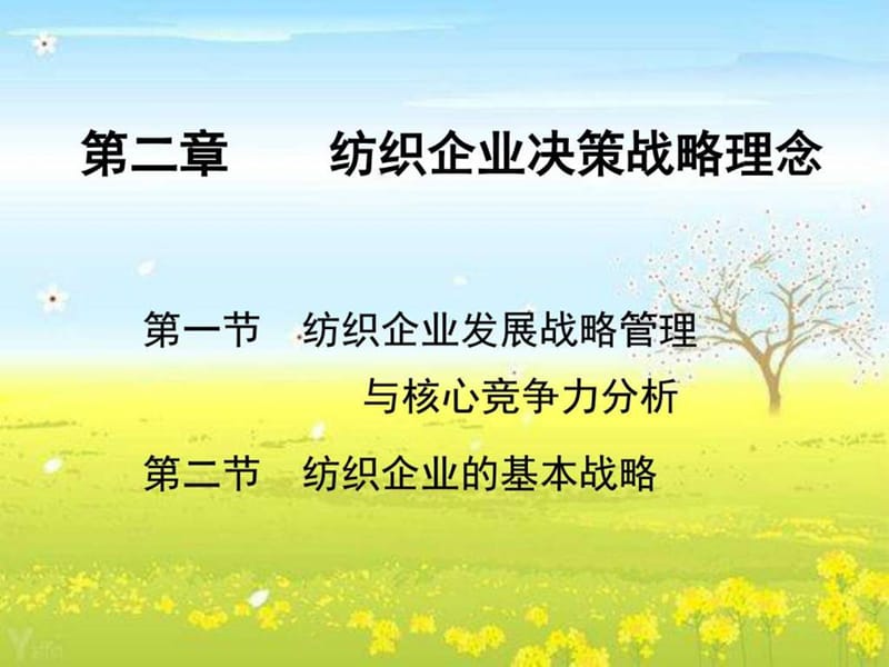 《企业战略管理》PPT课件.ppt_第1页