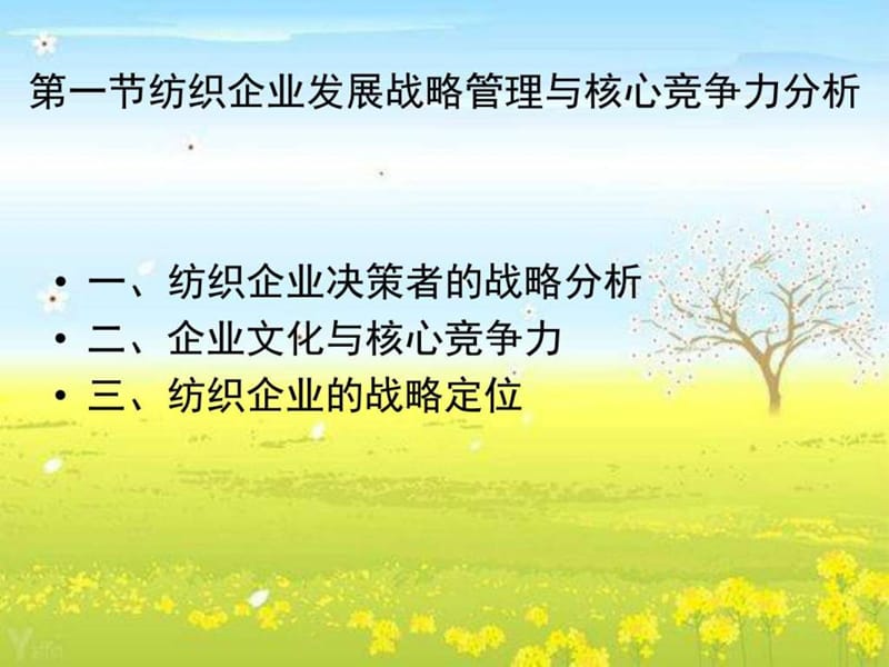 《企业战略管理》PPT课件.ppt_第2页