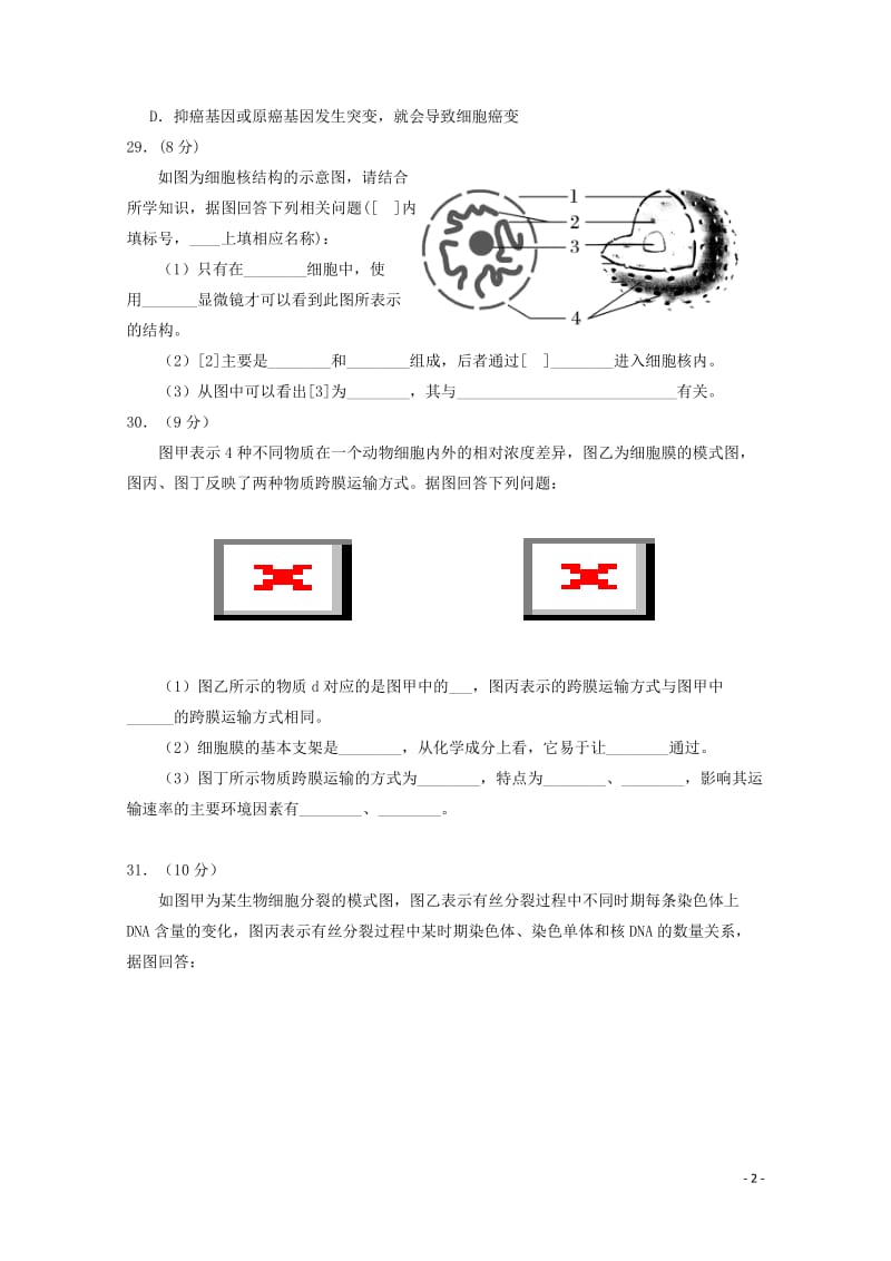 宁夏银川一中2018_2019学年高二生物12月阶段性测试试题201901150159.doc_第2页