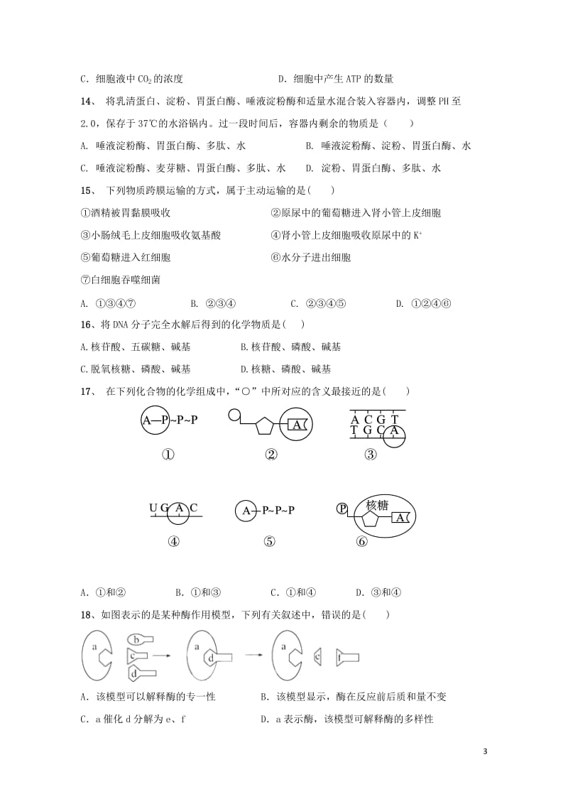 吉林述余市第一中学2018_2019学年高一生物上学期期末考试试题201901100170.doc_第3页