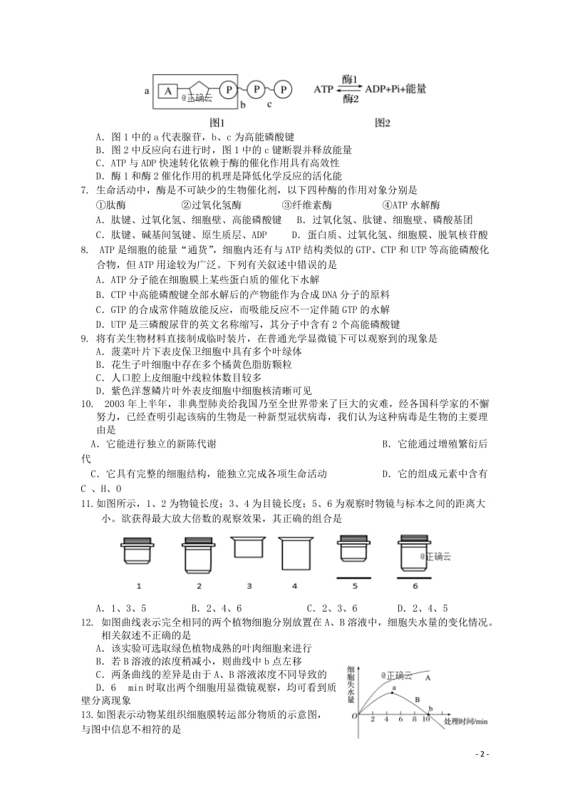 湖北省汉阳一中2018_2019学年高一生物上学期12月月考试题2019010302141.doc_第2页