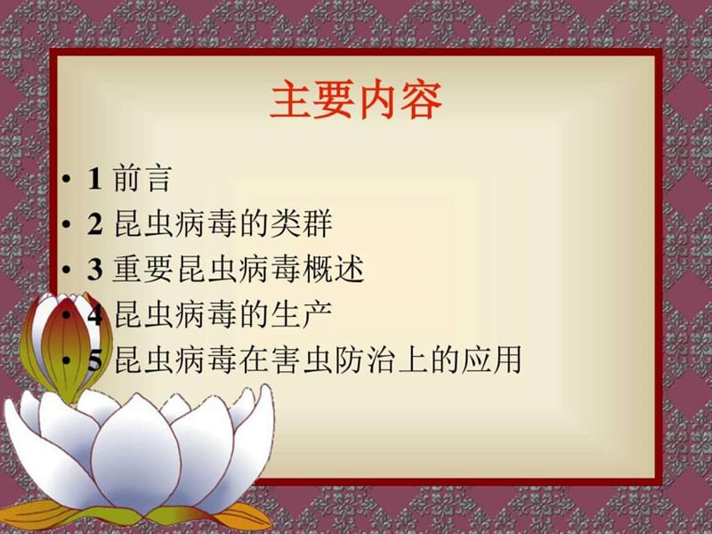 《昆虫病毒简介》PPT课件.ppt_第2页