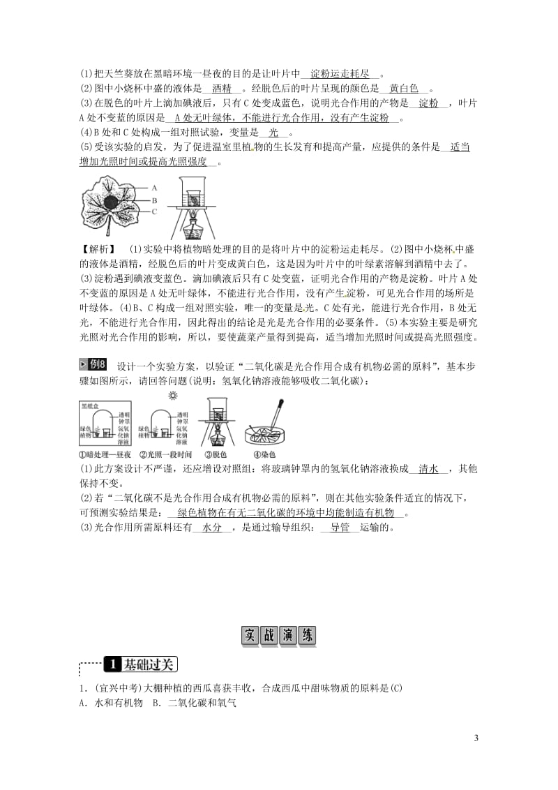 2019年中考生物总复习主题三生物圈中的绿色植物课时7绿色植物的光合作用和呼吸作用201901312.doc_第3页