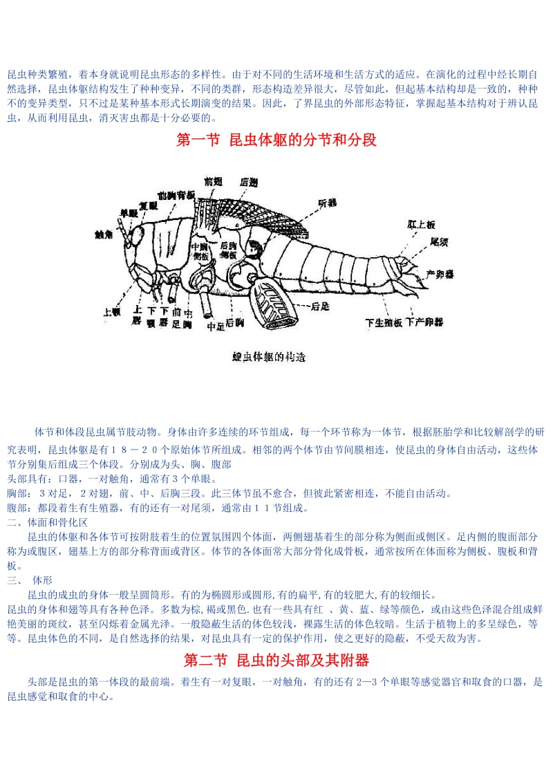 植物保护学 电子讲义.doc_第3页