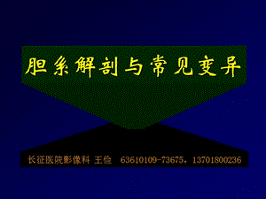 2019胆系解剖与常见变异（王俭）.ppt