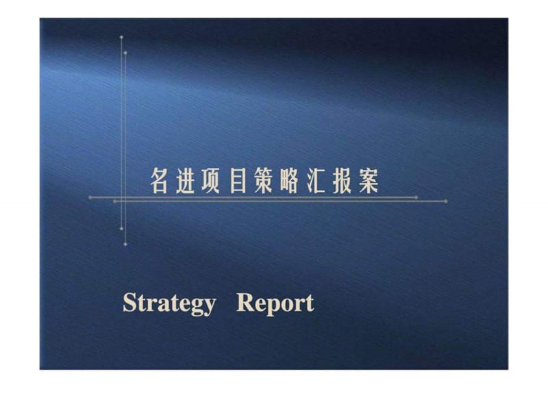 2019名进项目策略汇报案.ppt_第1页