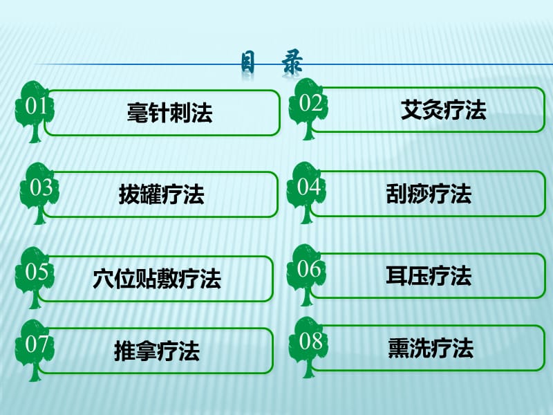 基层中医药适宜技术第二册第一分册.ppt_第2页