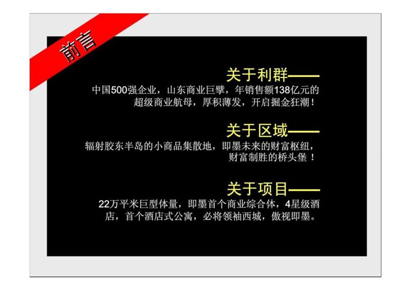 2019利群即墨项目营销推广方案(城市综合体精品).ppt_第2页