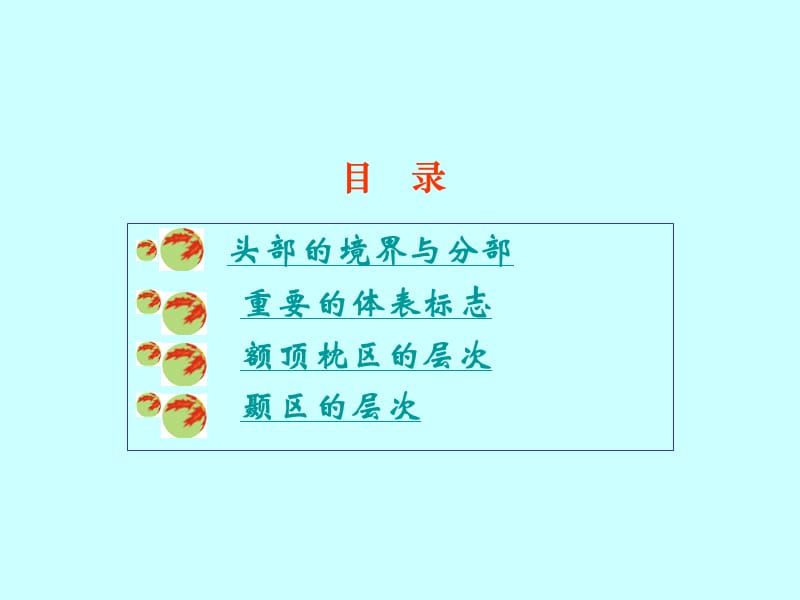 《头部》PPT课件.ppt_第2页