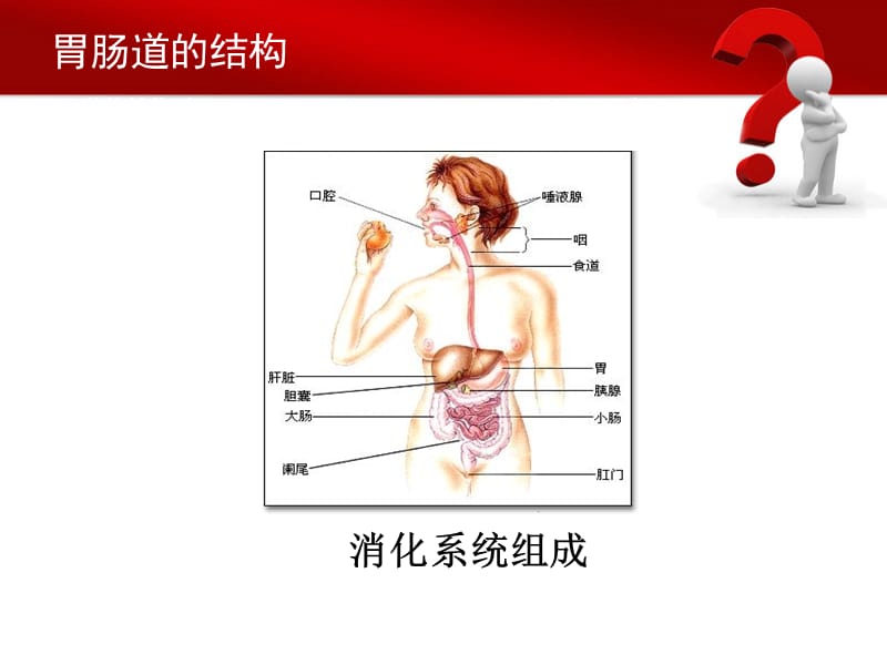 急性胃肠损伤PPT课件.ppt_第2页