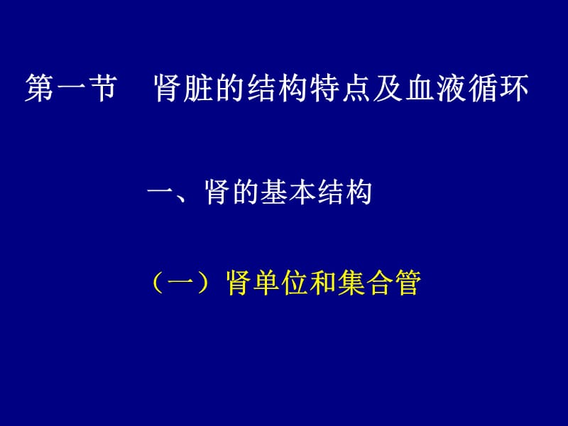 《生理学》第八章肾脏的功能ppt课件.ppt_第2页