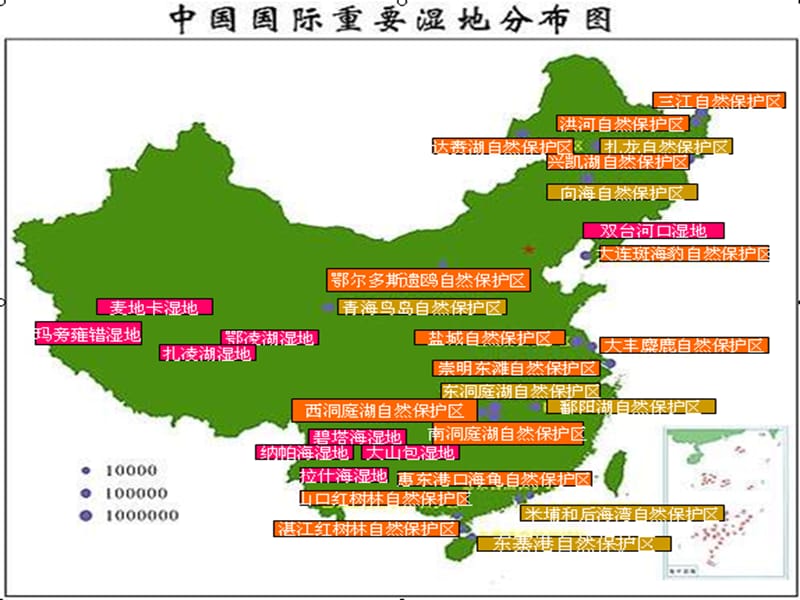 2019人工湿地设计ppt课件.ppt_第2页