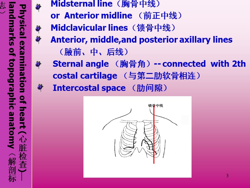 《心脏体检》PPT课件.ppt_第3页