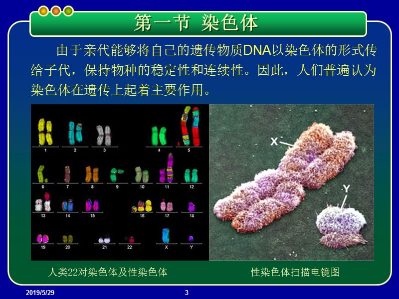 2019基因工程PPT课件 第二章 染色体与DNA.ppt_第3页