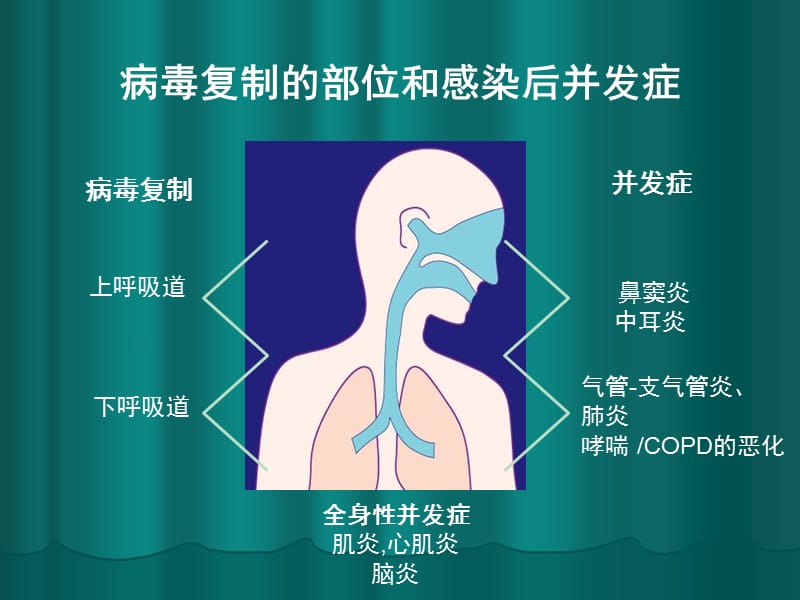 《感冒指南》ppt课件.ppt_第3页