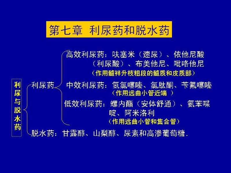 兽医药理学课件(第7章)利尿药和脱水药.ppt_第2页