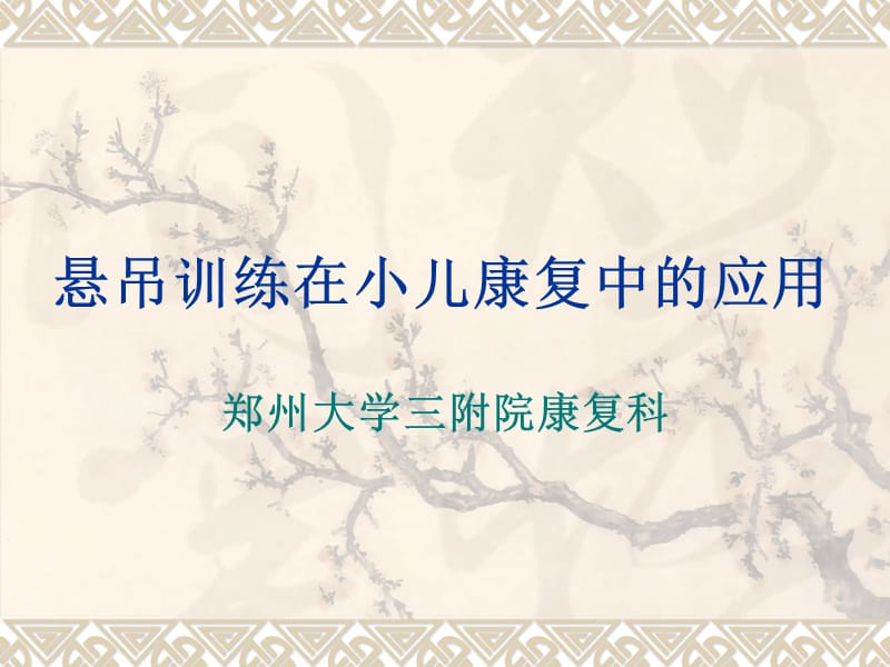 《悬吊训练set》ppt课件.ppt_第1页