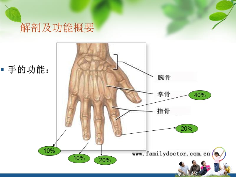 《手外伤确定版》ppt课件.ppt_第3页