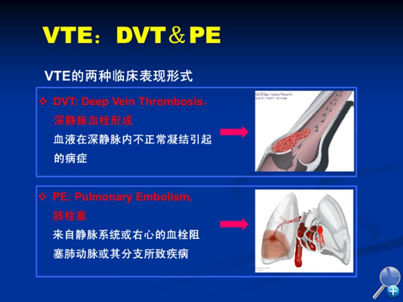 《-静脉》ppt课件.ppt_第2页