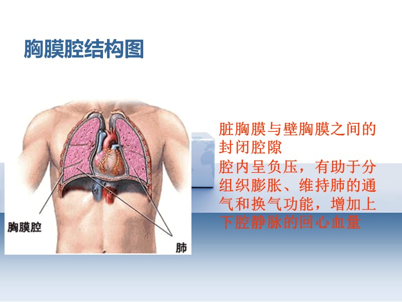 2019胸腔闭式引流的护理-上海市第一人民医院.ppt_第3页