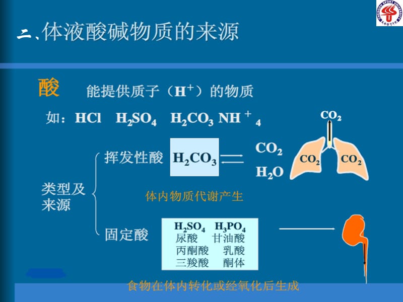 《病理生理学第四章》PPT课件.ppt_第3页