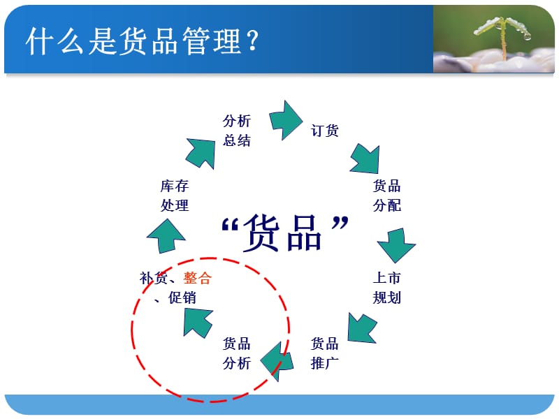 货品管理及分析 PPT素材.ppt_第3页