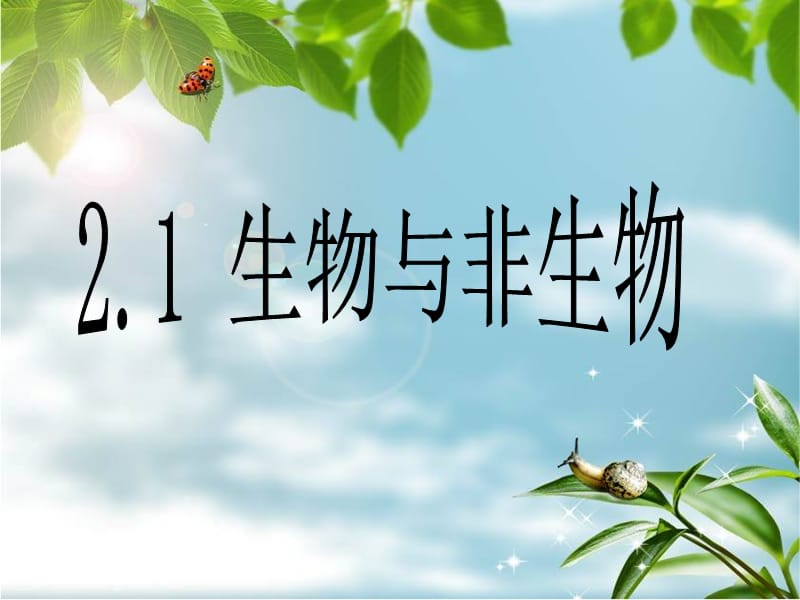 《生物与非生物》ppt课件.ppt_第1页