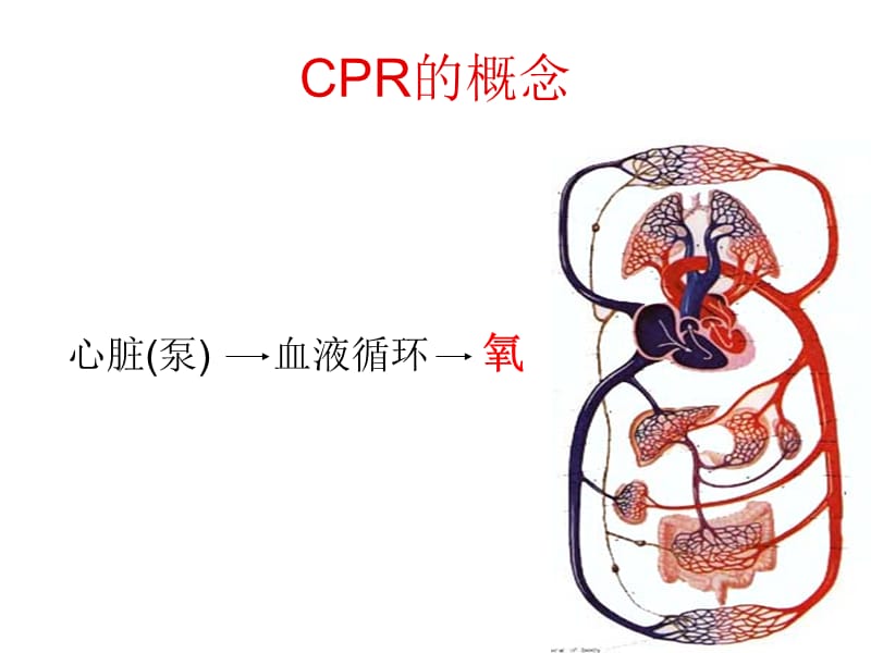 《CPR05年指南教学版》PPT课件.ppt_第2页