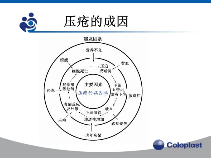 《压疮预防及治疗》PPT课件.ppt_第3页