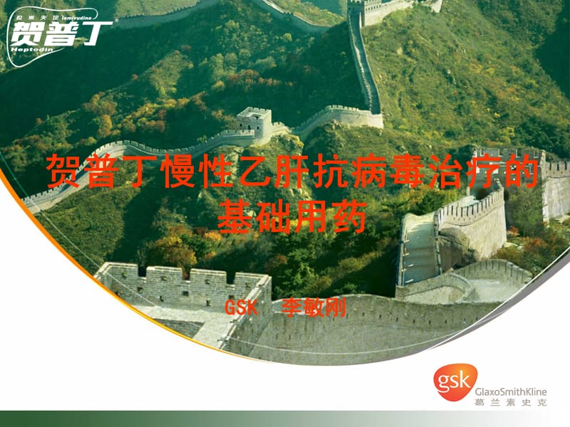 贺普丁慢性乙肝抗病毒治疗的基础用药-年会.ppt_第1页