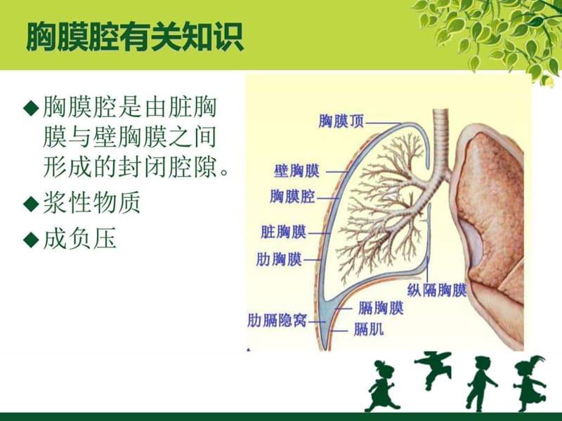 2019胸腔引流管的护理_图文.ppt.ppt_第3页