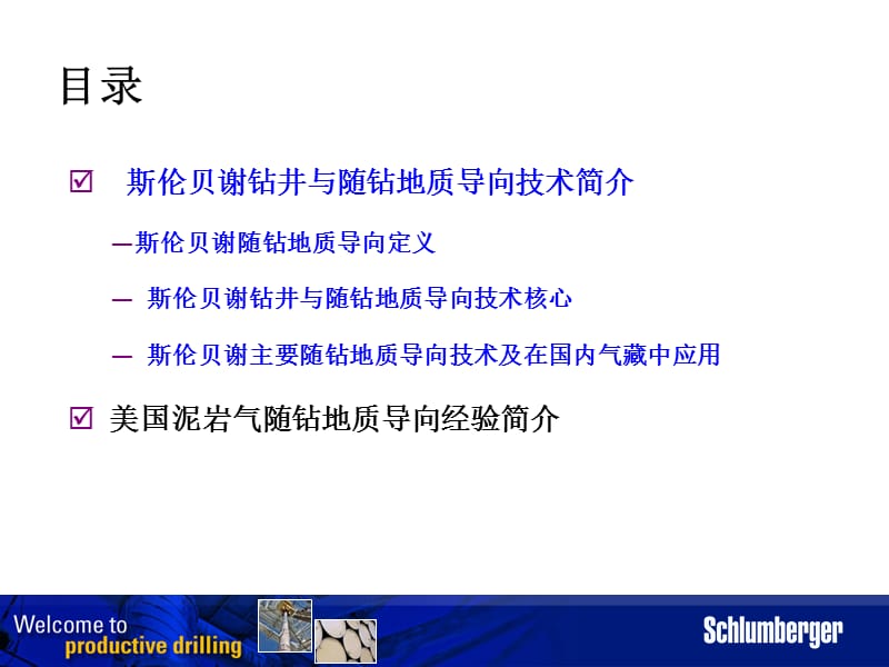 斯伦贝谢水平井随钻测井地质导向技术介绍.ppt_第3页