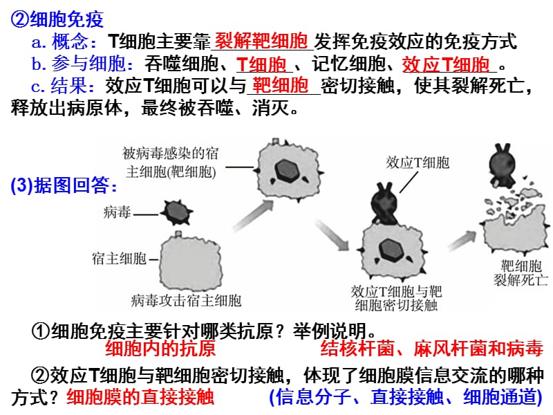 特异免疫及免疫失调.ppt_第2页