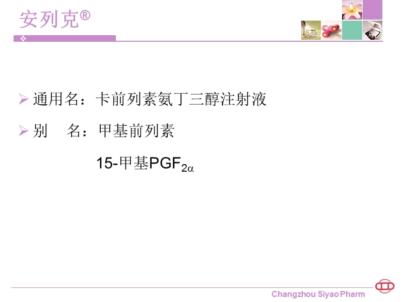 《安列克介绍》ppt课件.ppt_第3页