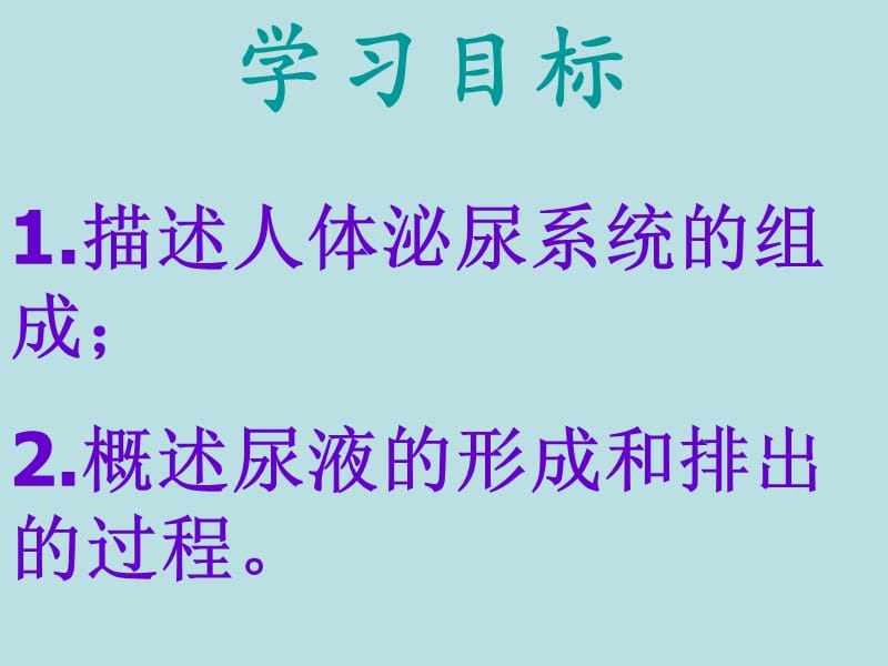 尿的形成和排出PPT课件.ppt_第2页