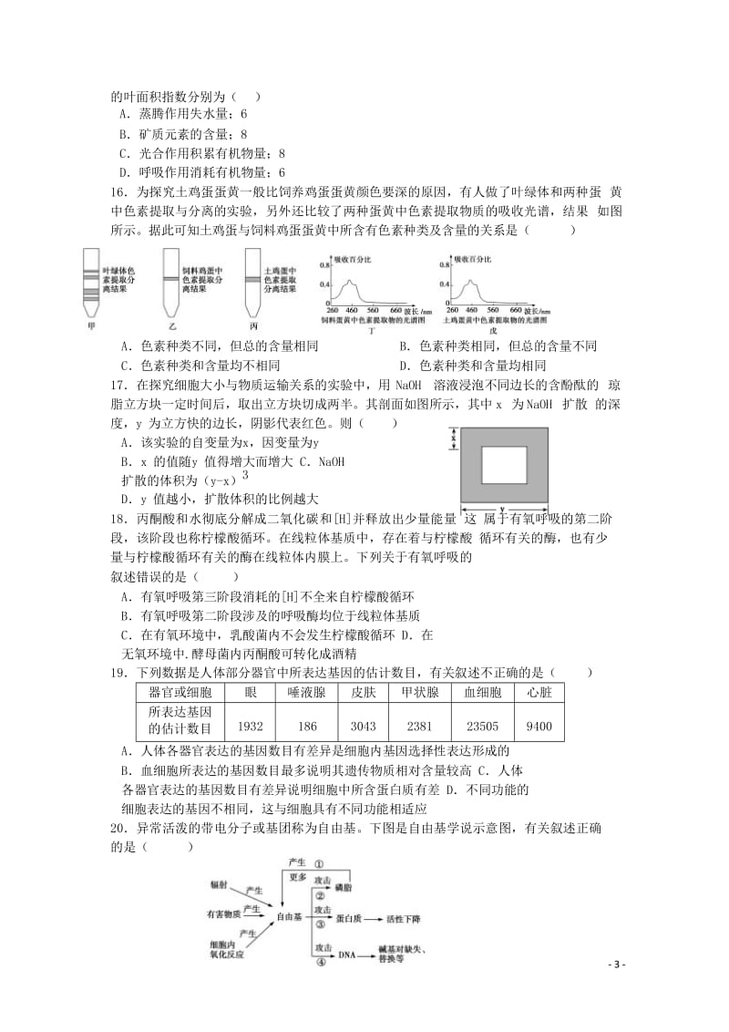 江西省南昌市第二中学2019届高三生物上学期第四次月考试题201812290291.doc_第3页