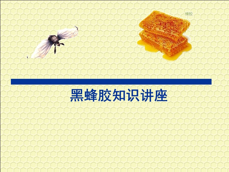 黑蜂胶知识讲座.ppt_第1页