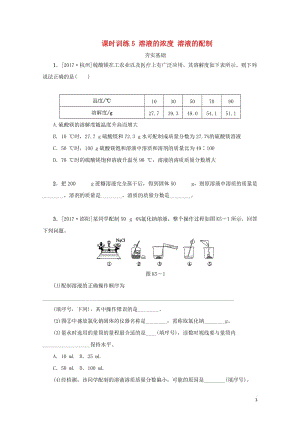 湖南省2018年中考化学复习课时训练5溶液的浓度溶液的配制练习20190114131.doc