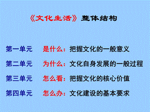 高中政治 1.1体味文化 课件.ppt