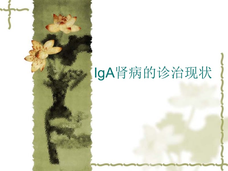 IgA肾病诊治现状PPT课件.ppt_第1页