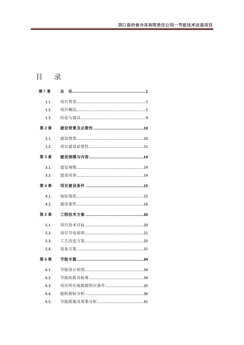 洞口县肉食冷冻公司—节能技术改造项目可行研究报告.doc_第1页