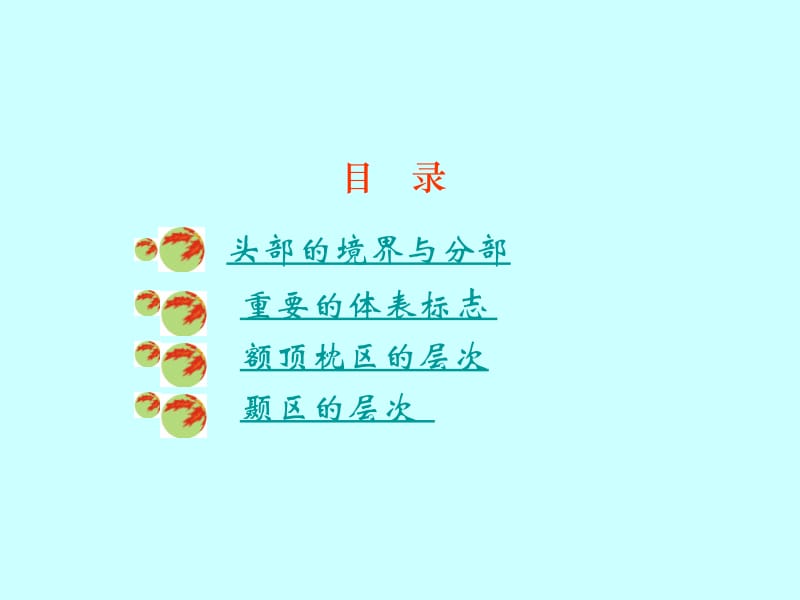 《头部》PPT课件.ppt_第2页