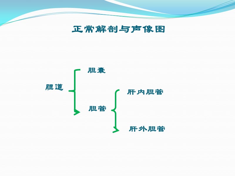 胆脾胰腺.ppt_第2页