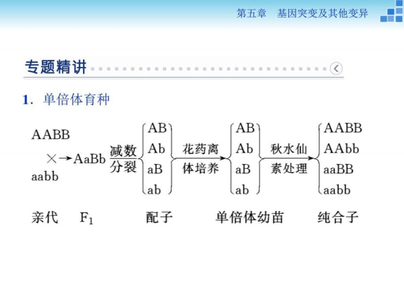 版优化方案高中生物人教版必修二配套课件第五章微专.ppt_第2页