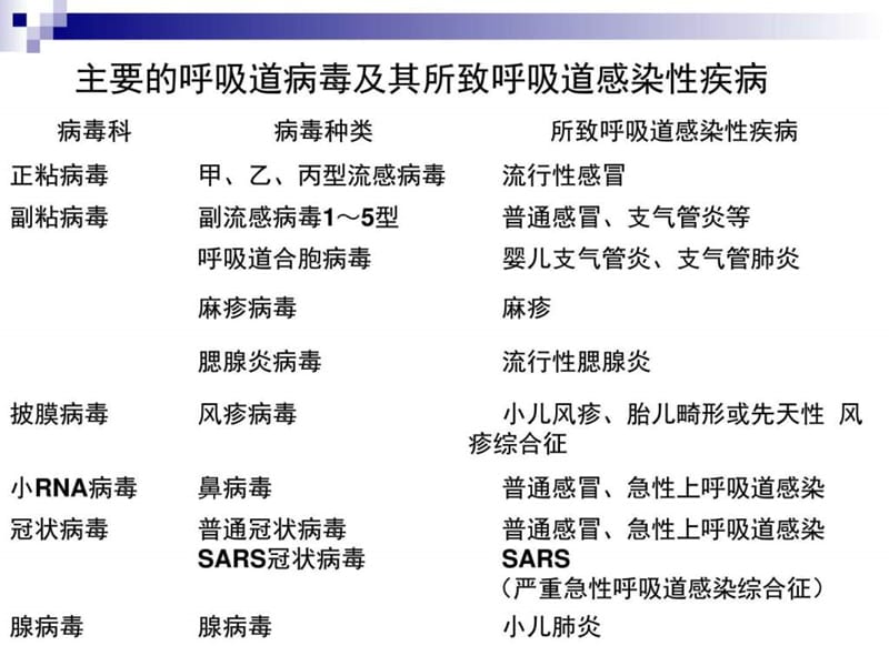 《常见病毒》PPT课件.ppt_第2页