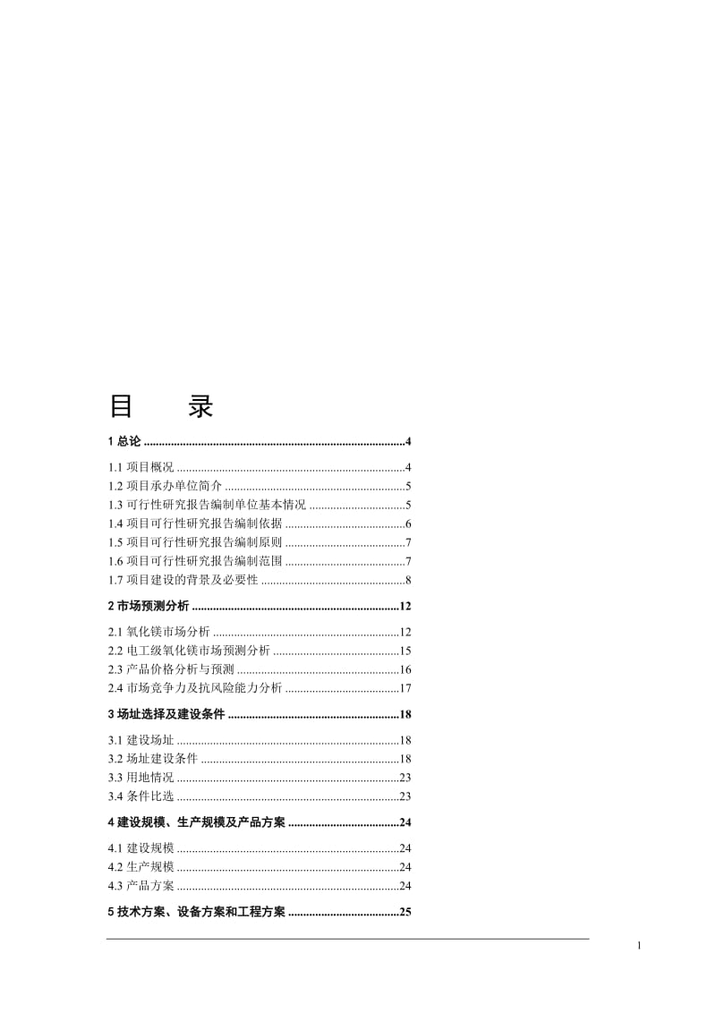 高温电工级氧化镁项目可行研究报告.doc_第1页